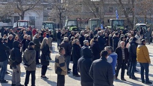 Μαζική συμμετοχή στην Ελασσόνα