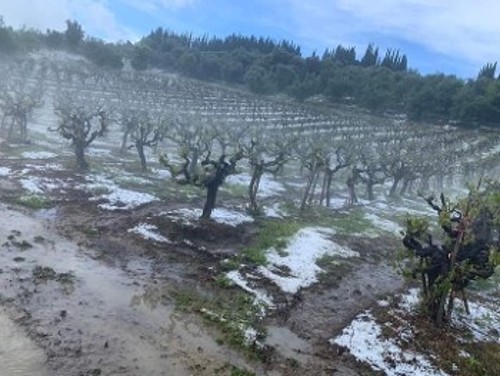 Ολοκληρωτική η καταστροφή απ' το χαλάζι