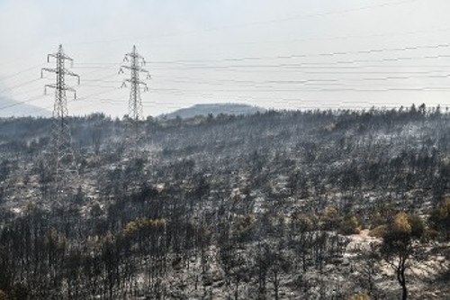 Η ...καλύτερη αντιμετώπιση πυρκαγιών από την κυβέρνηση που ξανά έβαψε στο μαύρο χιλιάδες στρέμματα