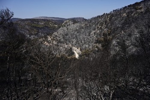 Κρανίου τόπος για άλλη μια φορά η περιοχή της Μάνδρας