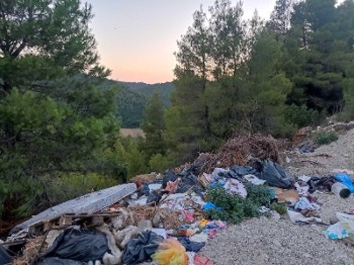 Σκουπιδότοπος και ξερά κλαριά, καύσιμη ύλη δίπλα στο παρθένο δάσος που έχει απομείνει