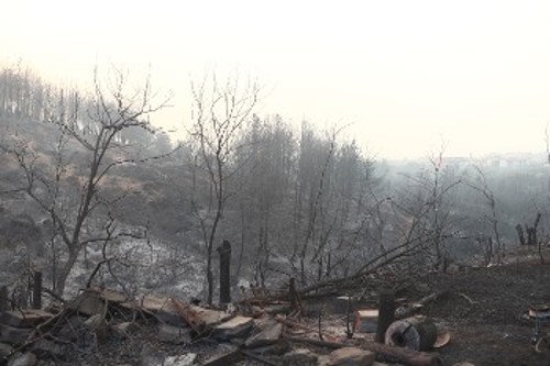Η εκχώρηση του δασικού πλούτου σε ιδιώτες με πρόσχημα την καταστροφική πυρκαγιά είναι προ των πυλών