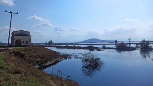 Κεραμίδι