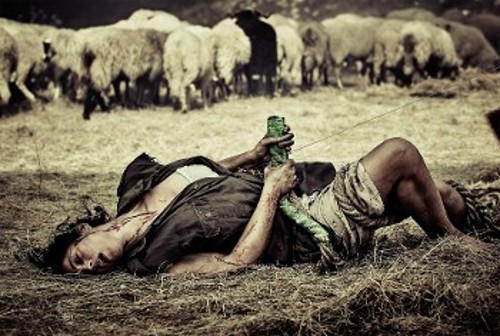On the milky road (2016)