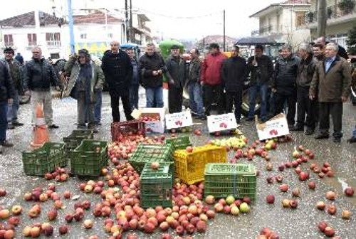 Η αγανάκτηση από τις δυσβάστακτες επιπτώσεις της αντιαγροτικής πολιτικής είχαν πυροδοτήσει τις κινητοποιήσεις του Φλεβάρη του 2005