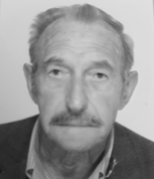 ΔΙΑΜΑΝΤΗΣ ΤΣΙΡΩΝΗΣ