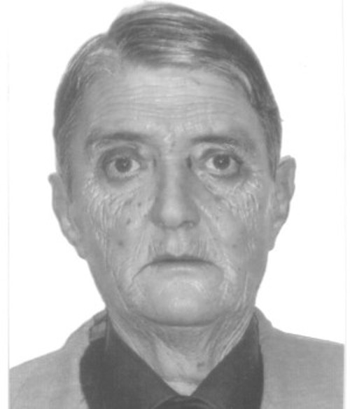 ΑΓΓΕΛΟΣ ΒΑΣΕΙΛΕΙΑΔΗΣ