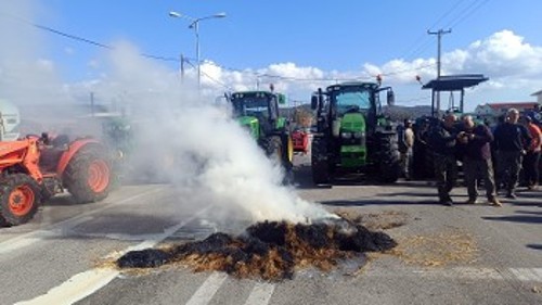 Καλλονή Λέσβου