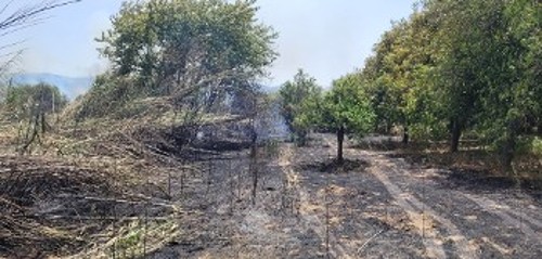 Από τη φωτιά στη Σπάρτη