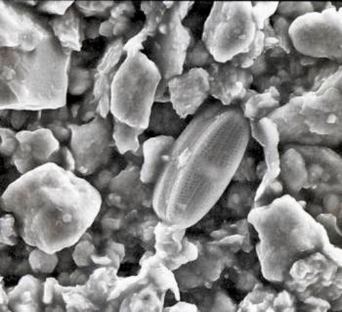 Περιτριγυρισμένο από κόκκους διάφορων ορυκτών, στο κέντρο της φωτογραφίας αυτής από σκόνη της ερήμου Μοχάβε, βρίσκεται ένα διάτομο. Πρόκειται για μονοκύτταρο υδρόβιο οργανισμό, που πολύ συχνά μεταφέρεται με τη σκόνη