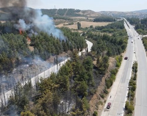 Από τη φωτιά χτες κοντά στο τελωνείο των Ευζώνων