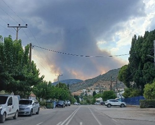 Από τη φωτιά στη Φωκίδα χθες