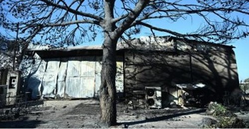 Η βιοτεχνία όπου βρήκε τον θάνατο η 65χρονη εργαζόμενη
