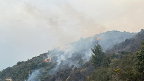 Από δασική φωτιά στη Λευκάδα στις αρχές της βδομάδας