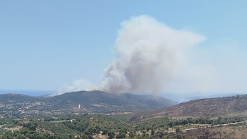 Από τη φωτιά στην περιοχή του Μαραθώνα