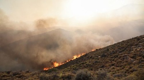 Από τη χτεσινή πυρκαγιά στο Καραβοστάσι Λακωνίας