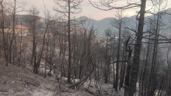 Δυστυχώς το μαύρο κυριαρχεί σε άλλη μια γωνιά της πατρίδας μας