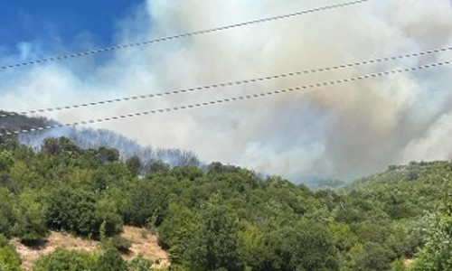 Από την φωτιά στην Δεσκάτη που έκαιγε παρθένο δάσος