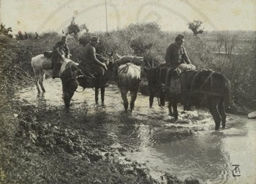 Τρεις στιγμιογραφήσεις από το ηπειρώτικο μέτωπο, κατά τη Μάχη του Μπιζανίου, με την υπογραφή των φωτογράφων Ρωμαΐδη - Zeitz (Μουσείο Μπενάκη)