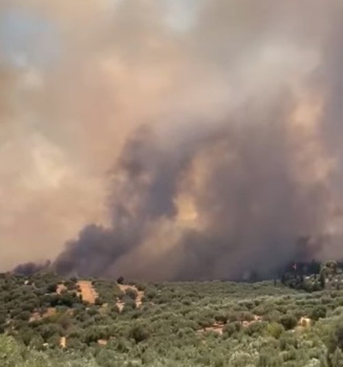 Από τις μεγάλες φωτιές του φετινού Αυγούστου στην Αχαΐα