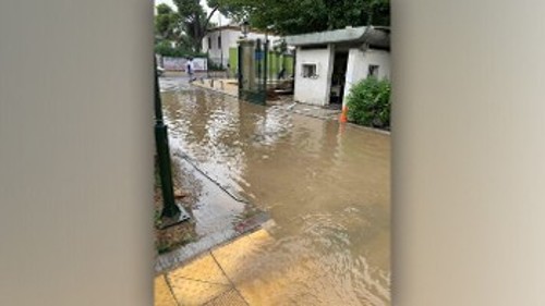 Γεωπονικό Πανεπιστήμιο Αθήνας