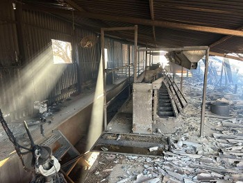 Μήνες μετά και ακόμα περιμένουν οι πυρόπληκτοι (φωτ. από κατεστραμμένη κτηνοτροφική μονάδα)
