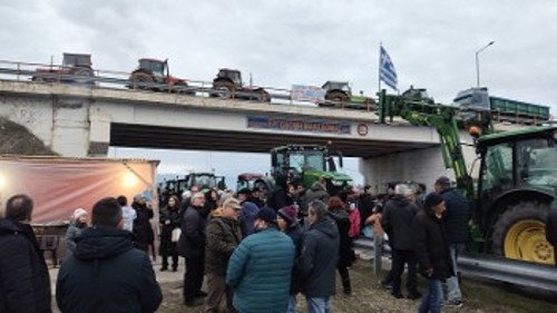 ΚΟΜΒΟΣ ΦΙΛΩΤΑ - ΑΜΥΝΤΑΙΟ