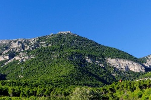 Ο κεντρικός πυρήνας του εθνικού δρυμού, που έχει απομείνει για να θυμίζει τη φυσική ομορφιά του δάσους