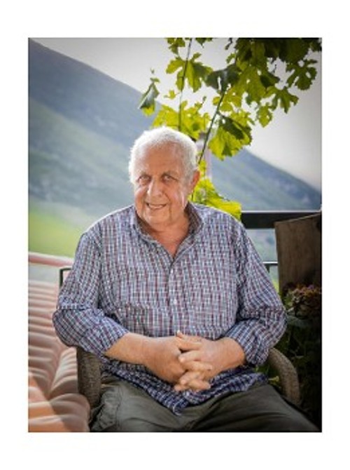 ΓΙΑΝΝΗΣ ΛΑΜΠΡΟΠΟΥΛΟΣ