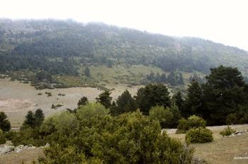 Τοποθεσία ΜΠΕΧΤΕΣΙ Καρυάς, όπου ορκίστηκαν οι πρώτες αντάρτικες ομάδες Ολύμπου του ΕΛΑΣ