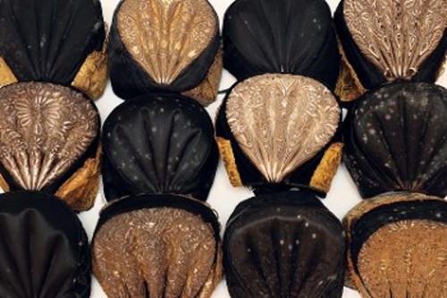 Λευκές κηλίδες μούχλας πάνω σε καπέλα φυλασσόμενα σε κατάλληλα κλιματιζόμενο χώρο στο Μουσείο Ρόσκιλντ στη Δανία