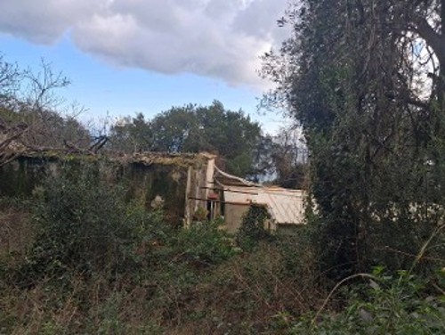 Σε παραπήγματα ζουν οι αλλοδαποί εργάτες