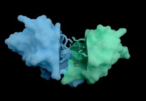 Στιγμιότυπο αλληλεπίδρασης πρωτεϊνών με θεραπευτικά μόρια από βίντεο, που έδωσε στη δημοσιότητα η Isomorphic Labs