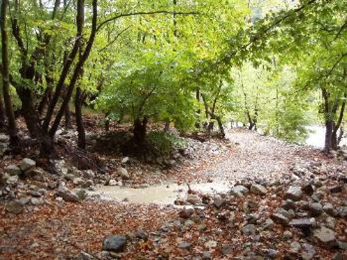 Μεσώντα - Αχελώος - πλαγιά του Φάγγου
