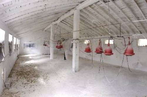 Μέγαρα, Μάρτης του 2006: Πτηνοτροφική μονάδα σε πλήρη αδράνεια
