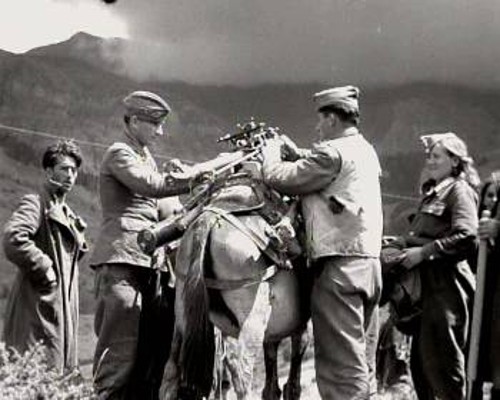 Μαχητές και μαχήτριες του ΔΣΕ στον αγώνα