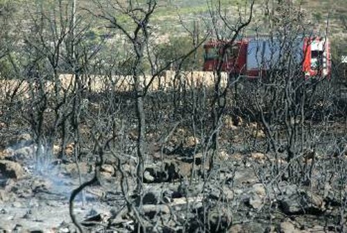 Η κυβέρνηση παίρνει τη σκυτάλη απ' τους εμπρηστές και δίνει βορά τη δημόσια γη στα επιχειρηματικά συμφέροντα...