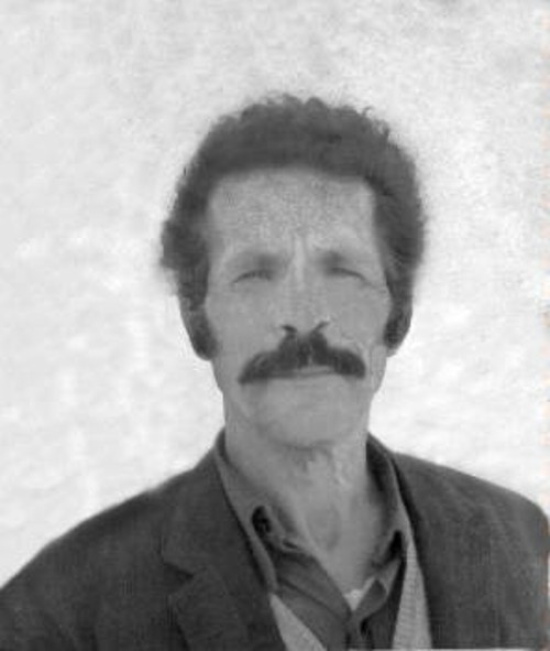 Μιχάλης Βρούλος