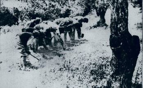 Οι δραπέτες της Φολέγανδρος στη μάχη της Κρήτης