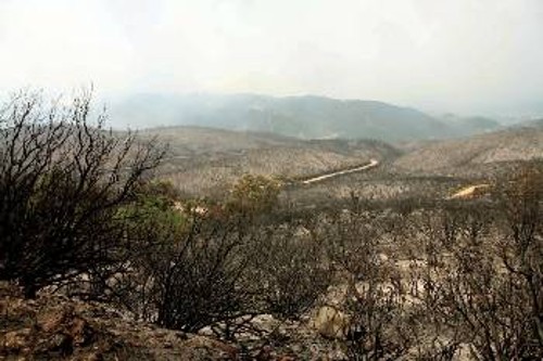 Στάχτη και αποκαΐδια στα πανέμορφα δάση του Πηλίου