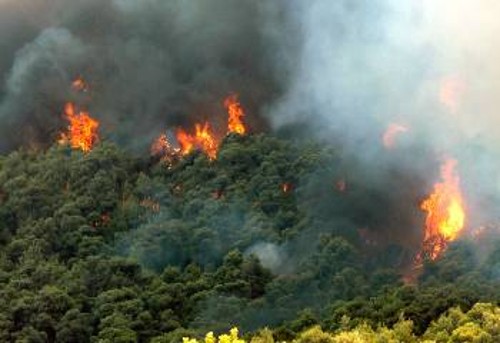 Καλλιέργειες και σπίτια έγιναν παρανάλωμα του πυρός