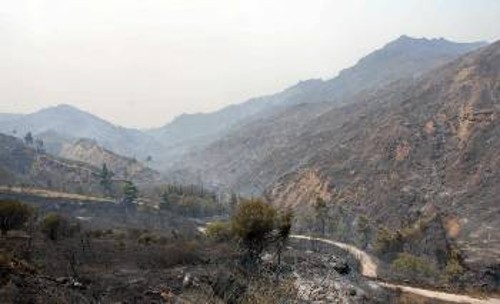 Τεράστιες καταστροφές έχουν υποστεί οι αγροτικές καλλιέργειεςστην περιοχή