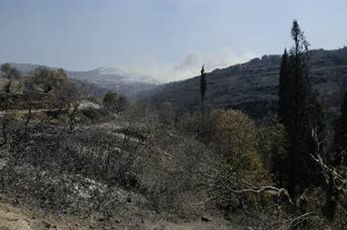 Οπου κι αν στρέψεις το βλέμμα σου βλέπεις μόνο αποκαΐδια