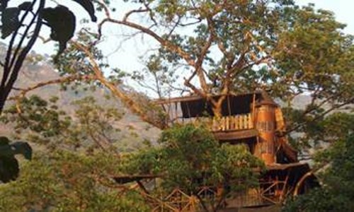 Ινδία: Στα δενδρόσπιτα του τροπικού δάσους...