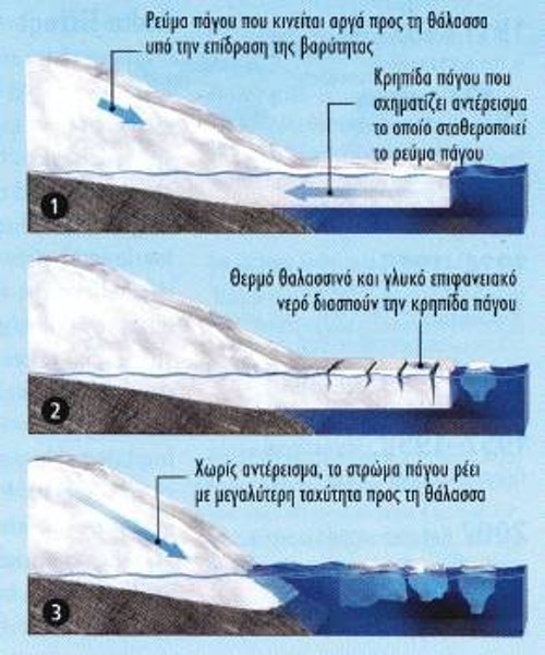 Ιδιαίτερα στη Δυτική Ανταρκτική, ο πάγος θα έρεε πολύ πιο γρήγορα προς τη θάλασσα αν δεν υπήρχε το αντέρεισμα της επιπλέουσας κρηπίδας πάγου γύρω από την ήπειρο. Ο θερμός αέρας και το θερμό νερό αδυνατίζουν αυτά τα στρώματα πάγου (1) κάνοντάς τα στην περίπτωση του Λάρσεν Β να σπάσουν (2). Χωρίς αντέρεισμα, ο ηπειρωτικός πάγος γλιστράει πιο γρήγορα, ανεβάζοντας με ανάλογο ρυθμό τη στάθμη της θάλασσας