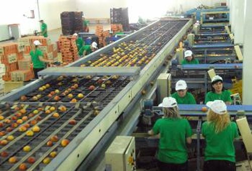 Γραμμή παραγωγής σε διαλογητήριο της Ημαθίας