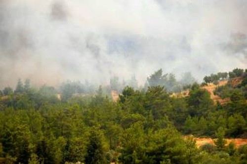 Από τη μεγάλη φωτιά στα Λάερμα που κατέστρεψε 70.000 στρέμματα δάσους