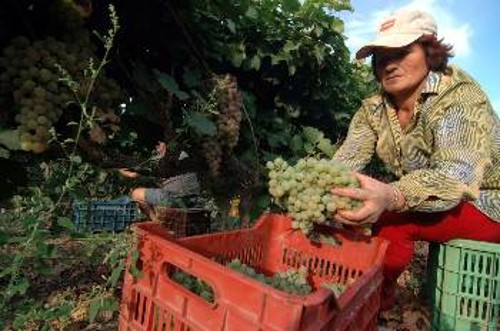 Η πολιτική της ΕΕ διώχνει τις γυναίκες από την αγροτική παραγωγή και τις στέλνει στα θρανία της κατάρτισης, στη βραχύχρονη «επιχειρηματικότητα» και στην αναζήτηση ενός οποιουδήποτε μεροκάματου μέχρι τα βαθιά γεράματα