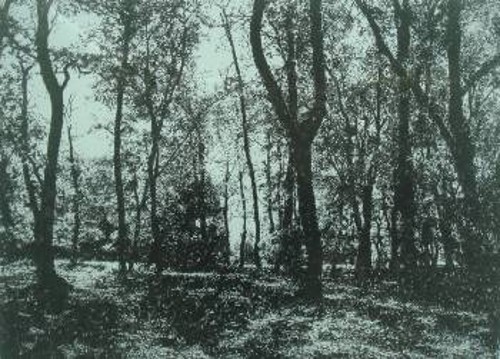 Εργο του Σκουρλέτη