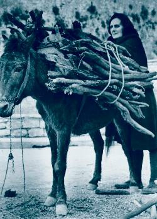 Θεσσαλή αγρότισσα στον αγώνα της καθημερινότητας